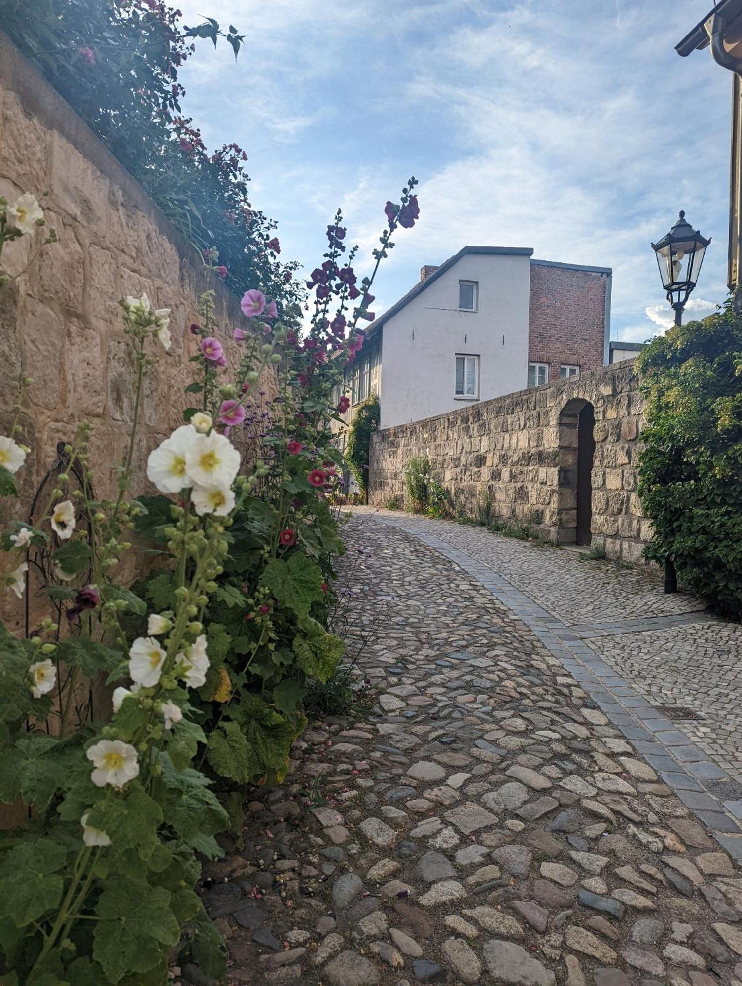 Quedlinburg Ferienwohnungen Zewnętrze zdjęcie